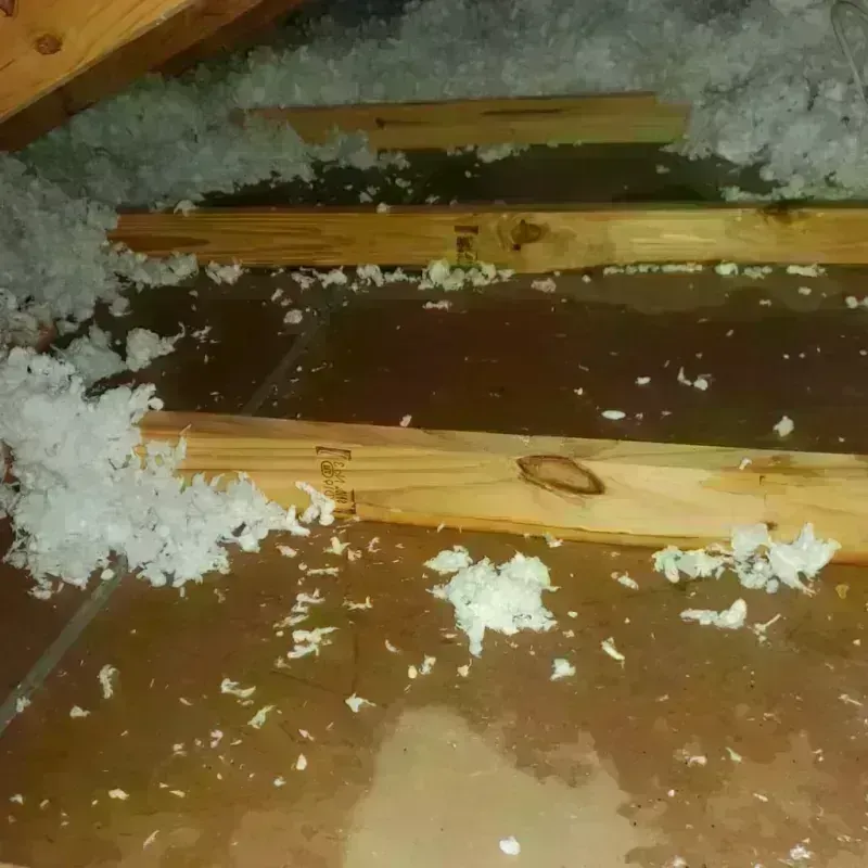 Attic Water Damage in Sullivan County, TN